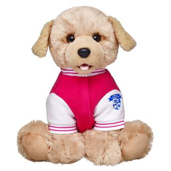 Those active Promise Pets&trade; will look stylish and sporty in this cute varsity jacket. The pink jacket has white sleeves and collar with pink stripes and PROMISE PETS varsity lettering on the back.