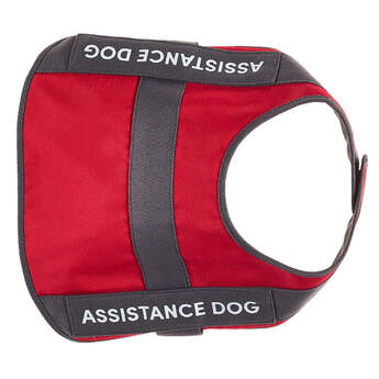 Promise Pets&trade; Assistance Dog Vest - Build-A-Bear Workshop&reg;